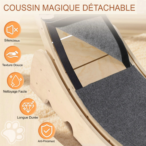 Roue de Course pour Chat