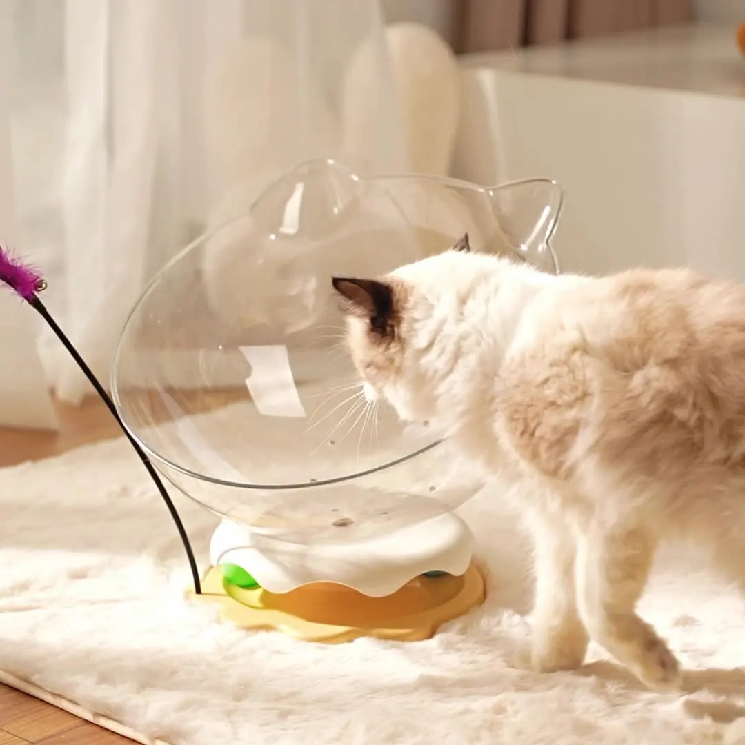 Panier pour Chat Transparent en Acrylique – Design Demi-Boule avec Oreilles